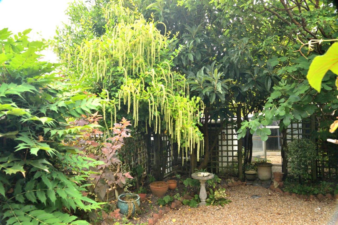 Cosy House, A Train Spotter'S Delight! Villa นิวออร์สฟอร์ด ภายนอก รูปภาพ